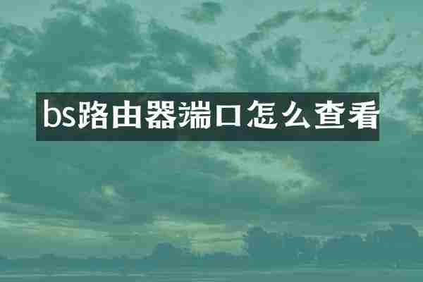 bs路由器端口怎么查看
