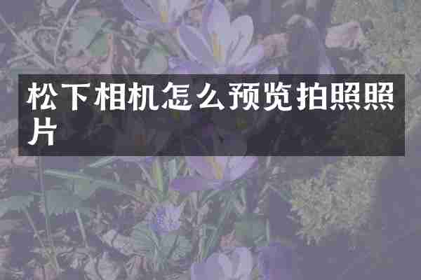 松下相机怎么预览拍照照片