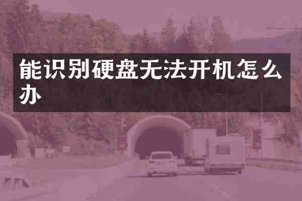 能识别硬盘无法开机怎么办