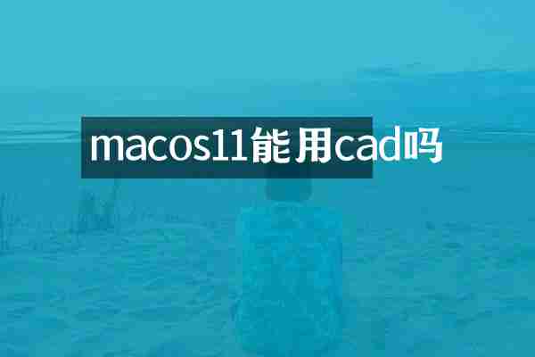 macos11能用cad吗