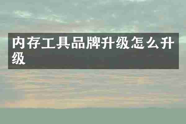 内存工具品牌升级怎么升级
