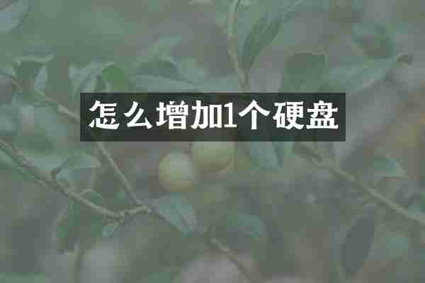 怎么增加1个硬盘