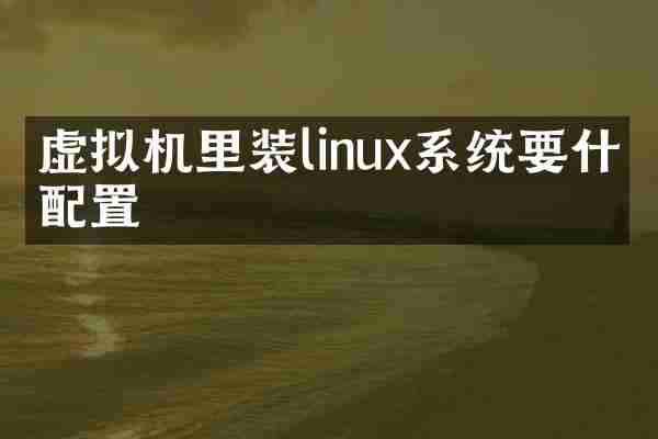 虚拟机里装linux系统要什么配置