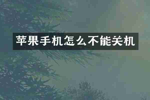 苹果手机怎么不能关机