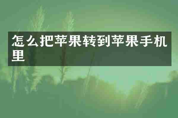 怎么把苹果转到苹果手机里