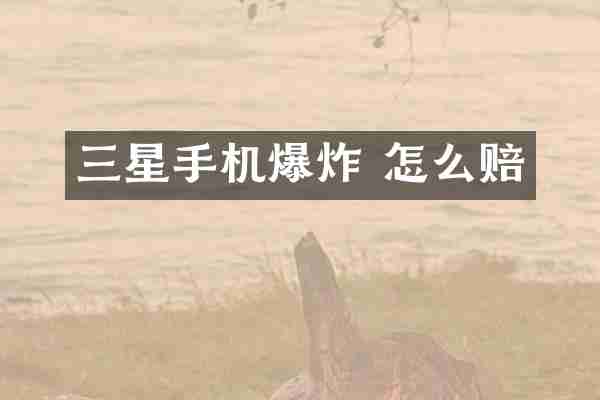 三星手机爆炸 怎么赔