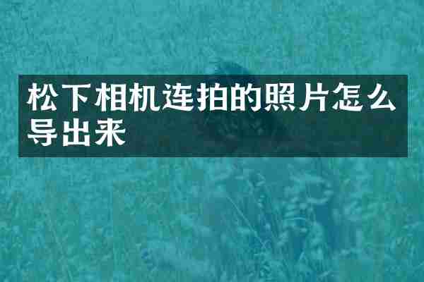 相机连拍的照片怎么导出来
