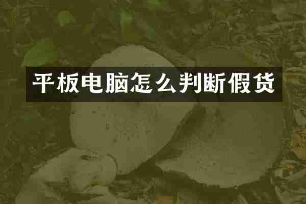 平板电脑怎么判断假货