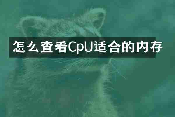 怎么查看CpU适合的内存