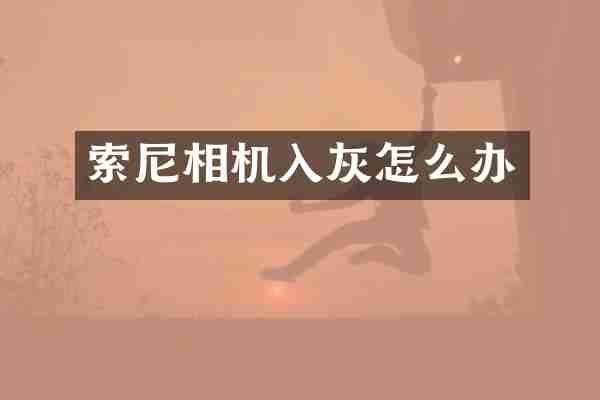 索尼相机入灰怎么办