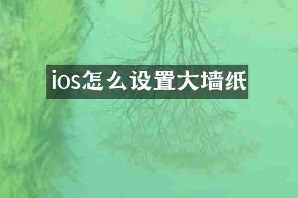 ios怎么设置大墙纸