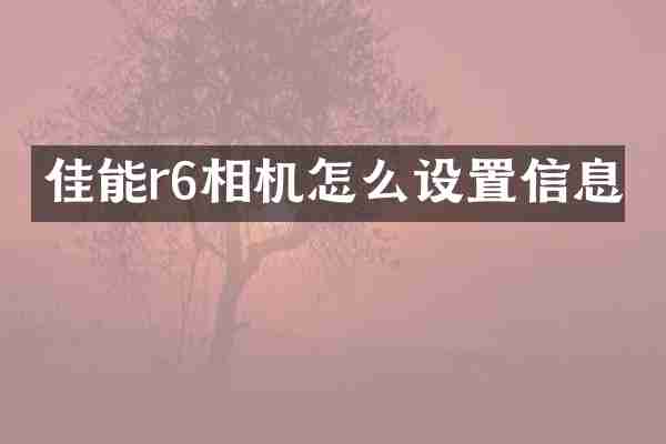 佳能r6相机怎么设置信息