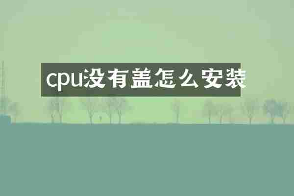 cpu没有盖怎么安装