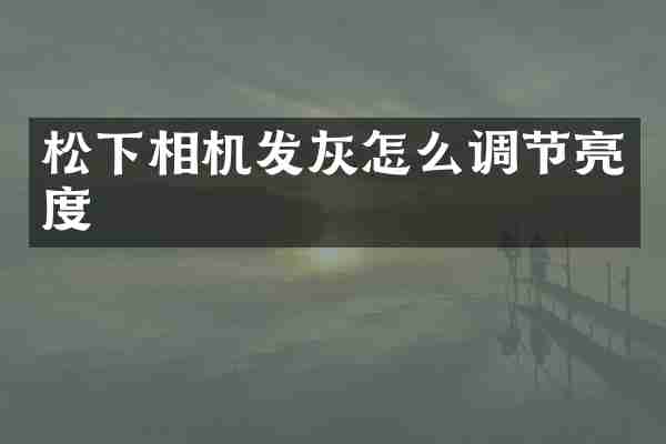 相机发灰怎么调节亮度
