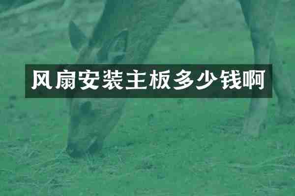 风扇安装主板多少钱啊