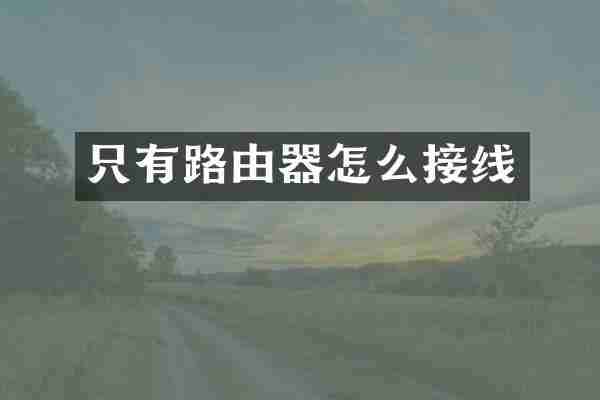 只有路由器怎么接线