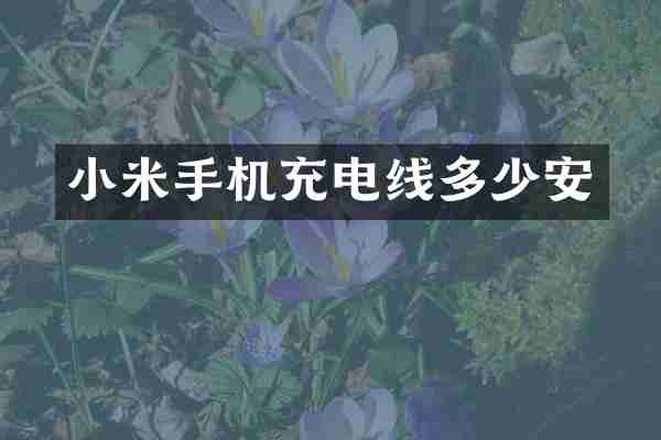 小米手机充电线多少安