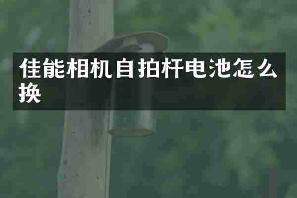 佳能相机杆电池怎么换