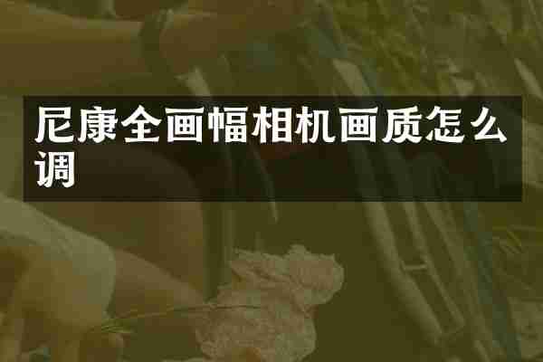 尼康全画幅相机画质怎么调