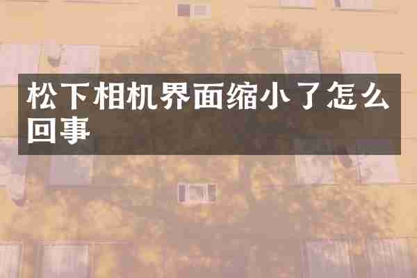 相机界面缩小了怎么回事