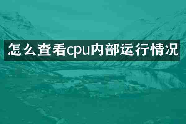 怎么查看cpu内部运行情况