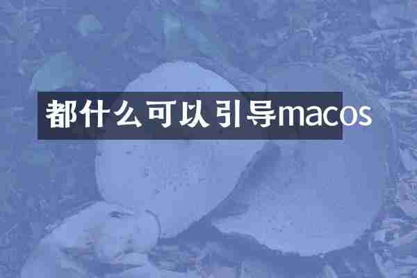 都什么可以引导macos