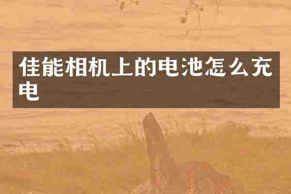 佳能相机上的电池怎么充电