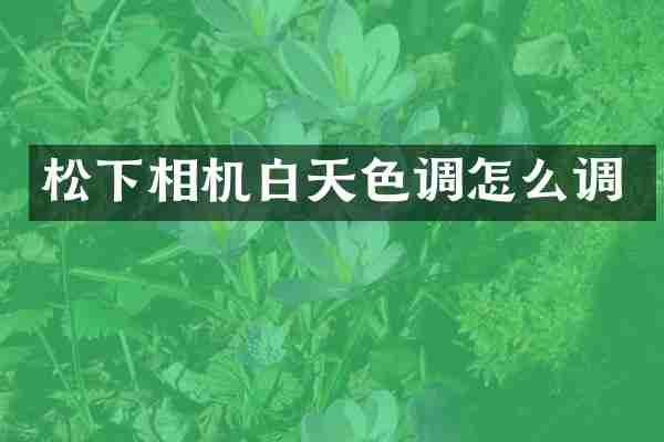 相机白天色调怎么调