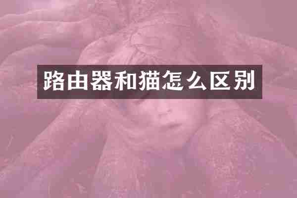 路由器和猫怎么区别