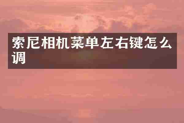 相机菜单左右键怎么调