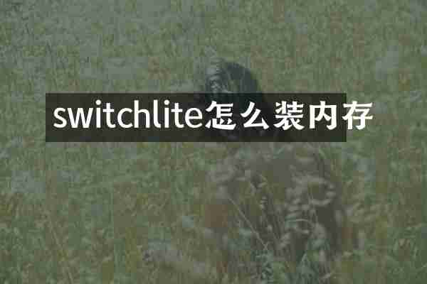 switchlite怎么装内存