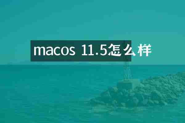 macos 11.5怎么样