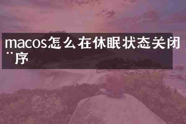 macos怎么在休眠状态关闭程序