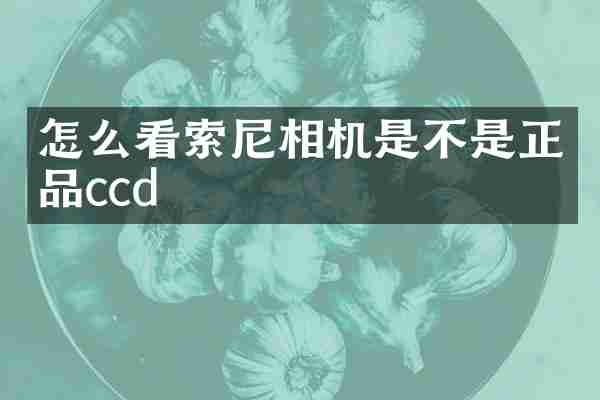 怎么看索尼相机是不是正品ccd