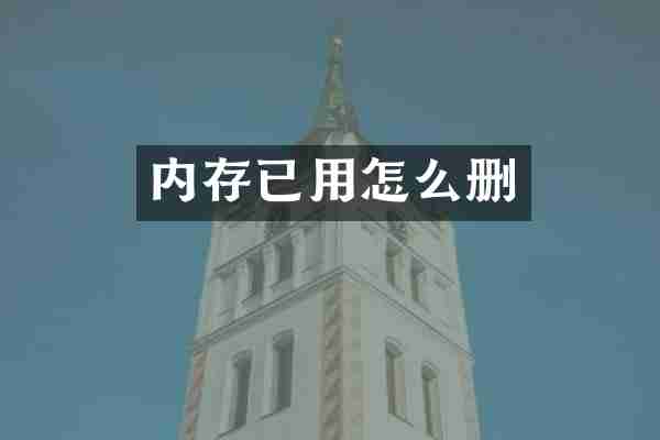 内存已用怎么删