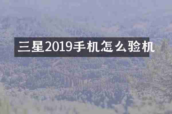 三星2019手机怎么验机