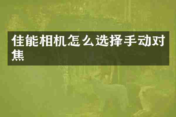 佳能相机怎么选择手动对焦