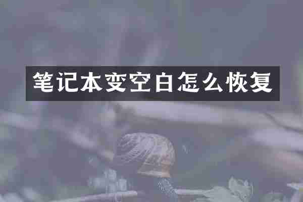 笔记本变空白怎么恢复