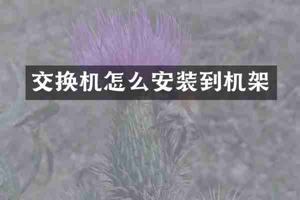 交换机怎么安装到机架