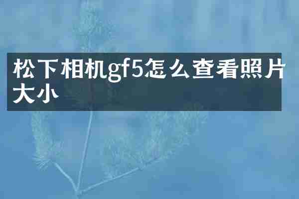 松下相机gf5怎么查看照片大小