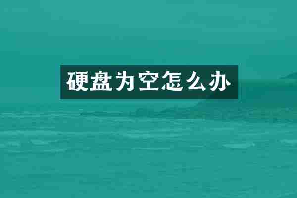 硬盘为空怎么办