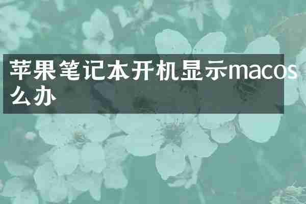 苹果笔记本开机显示macos怎么办