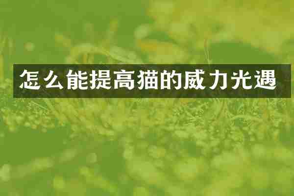 怎么能提高猫的威力光遇