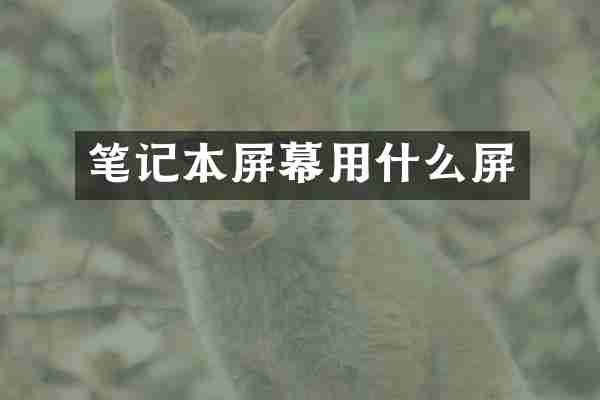 笔记本屏幕用什么屏