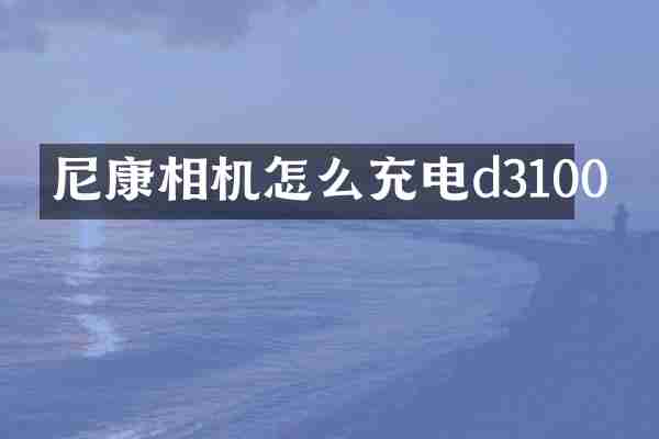 尼康相机怎么充电d3100