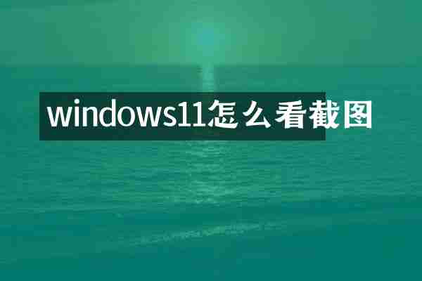 windows11怎么看截图