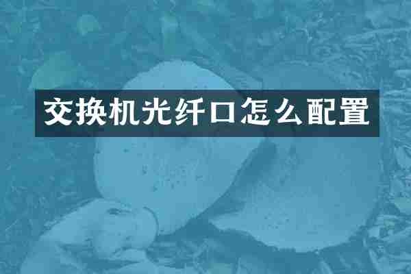 交换机光纤口怎么配置