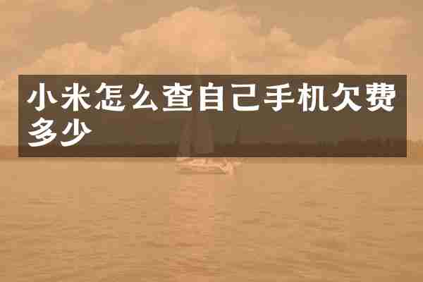 小米怎么查自己手机欠费多少