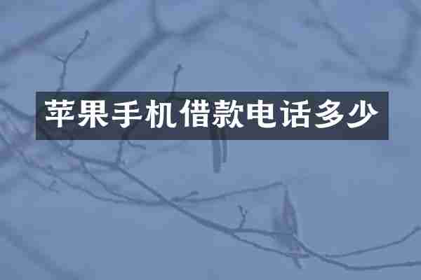 苹果手机借款电话多少