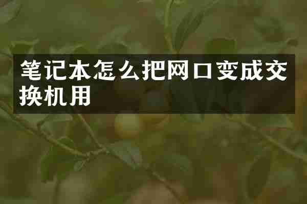 笔记本怎么把网口变成交换机用